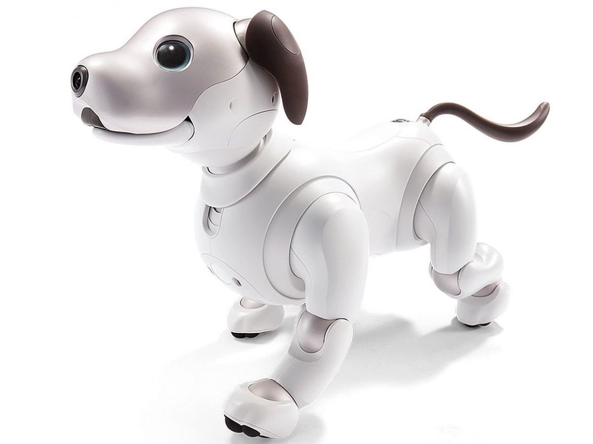Expresión Madurar Problema Los 8 mejores perros robot de 2022 (Opiniones para comprar)